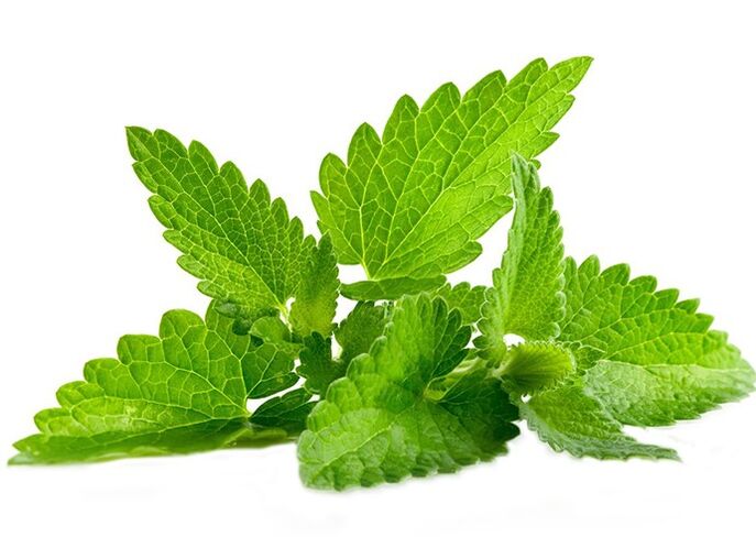Menta selvatica nel gel zxcvbnmqwert